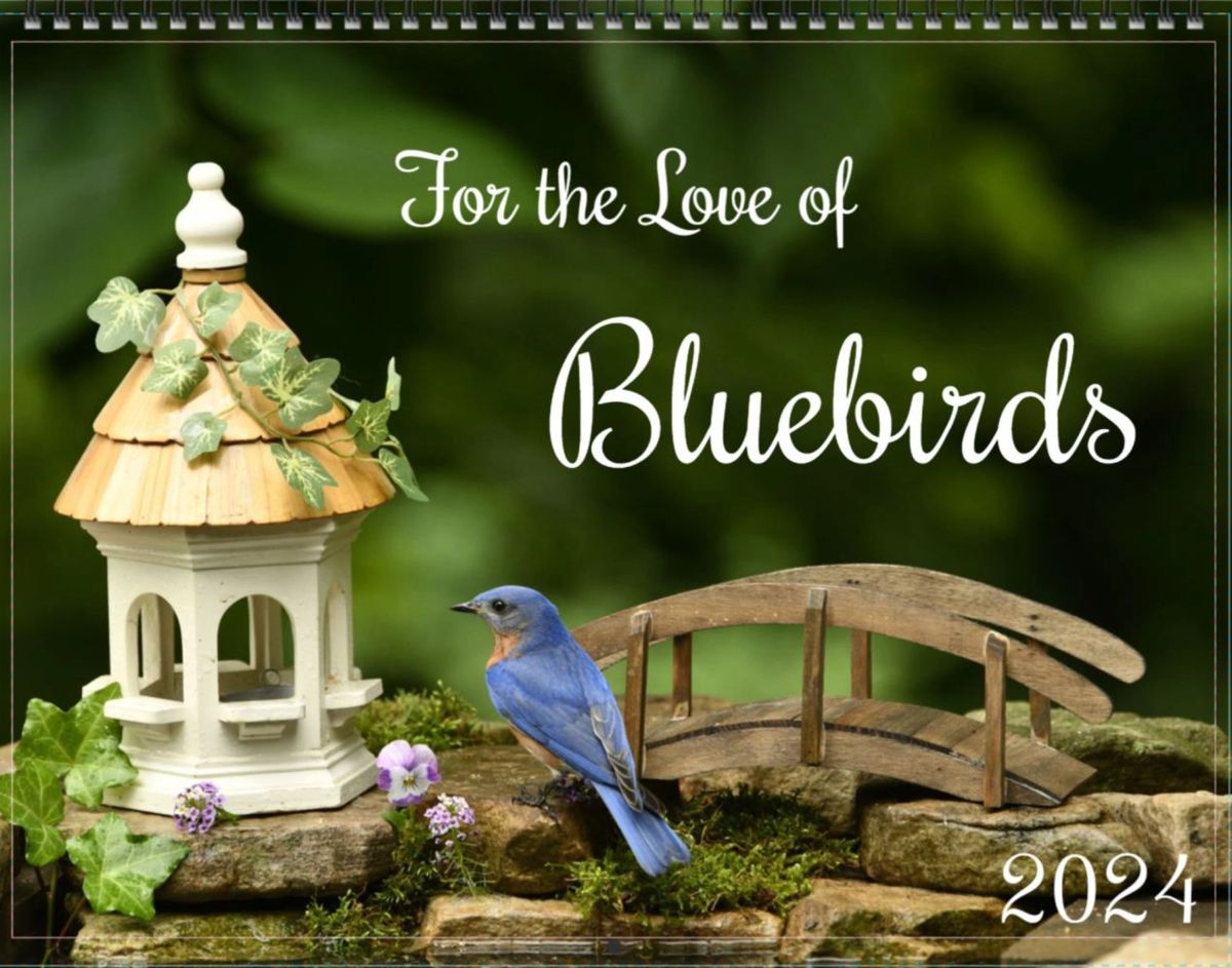 2024 For The Love Of Bluebirds Calendar   Rs=w 1200,h 1200